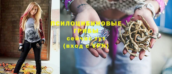 стаф Абаза